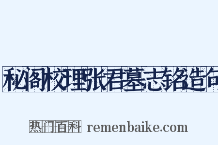 秘阁校理张君墓志铭造句是什么意思的图片